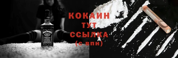 прущие грибы Приозерск