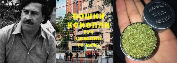прущие грибы Приозерск