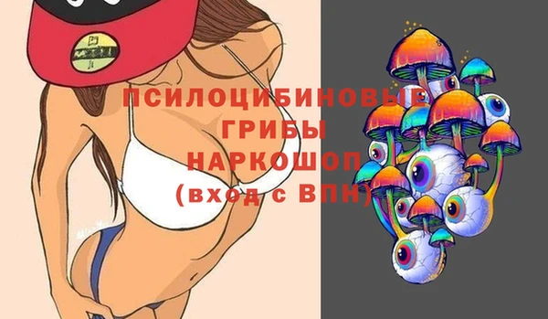 прущие грибы Приозерск