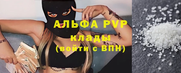 прущие грибы Приозерск