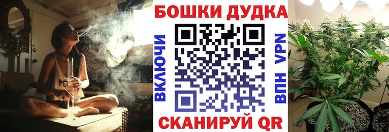 закладка Сосновка МАРИХУАНА OG Kush
